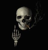 Ven� calavera